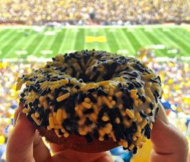 donut - maize and blue